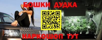 мяу мяу мука Будённовск