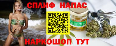 мяу мяу мука Будённовск