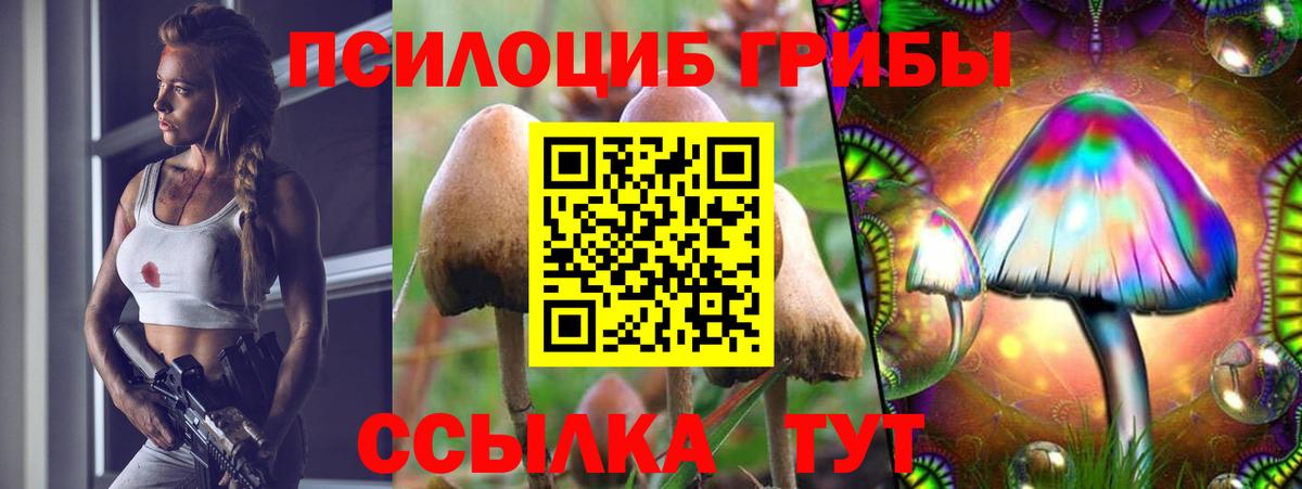 Галлюциногенные грибы прущие грибы Владивосток